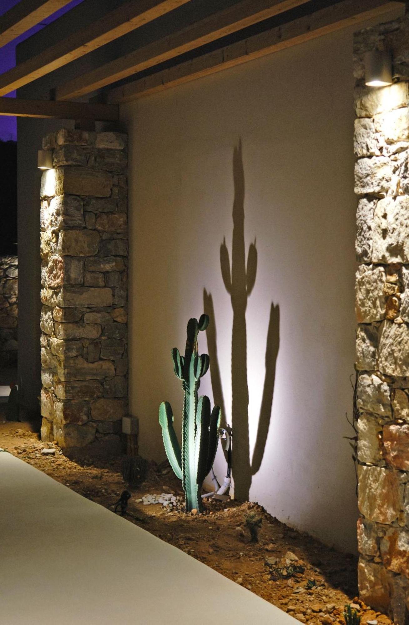 Agave Donousa Suites Zewnętrze zdjęcie