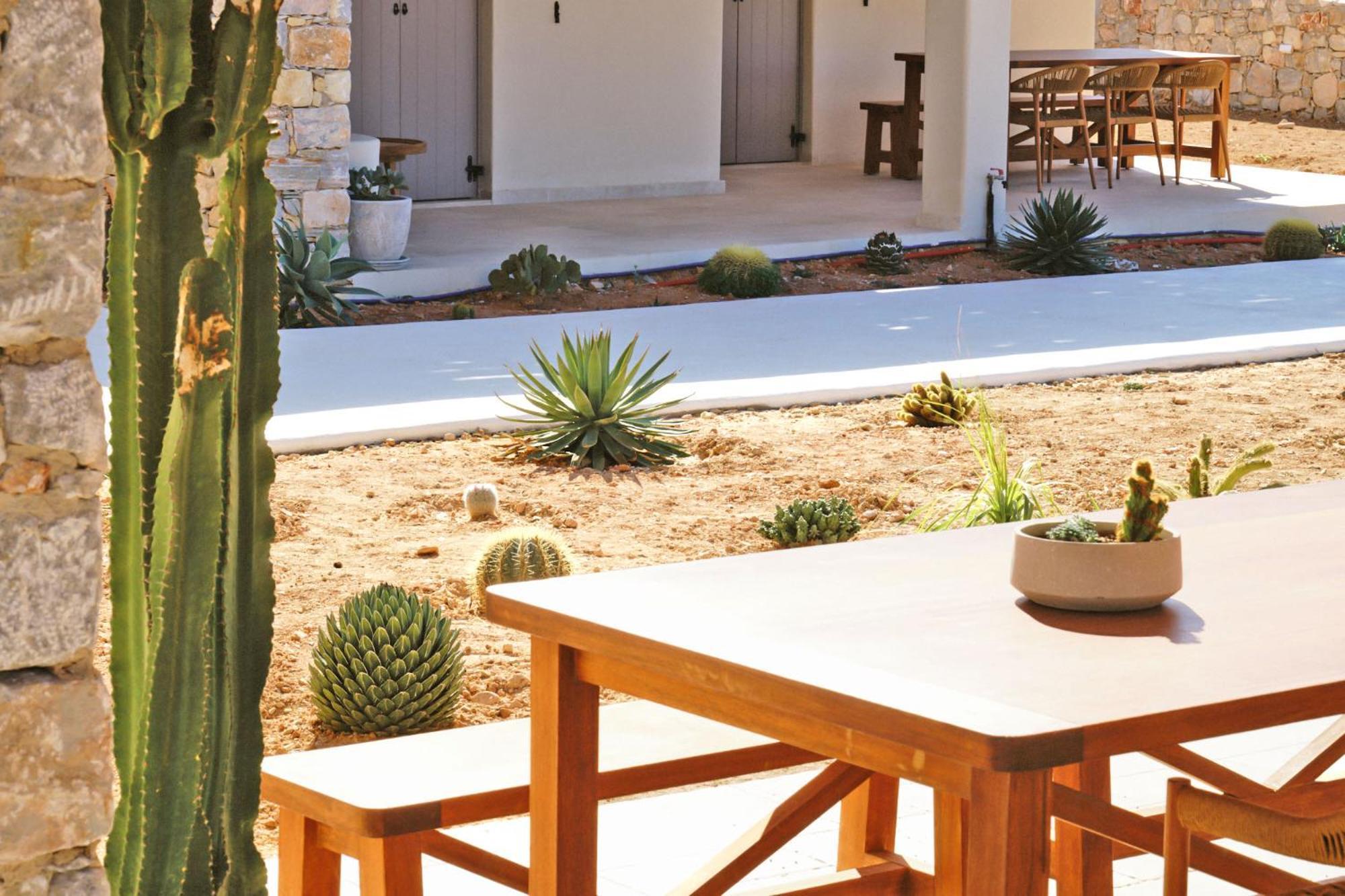 Agave Donousa Suites Zewnętrze zdjęcie